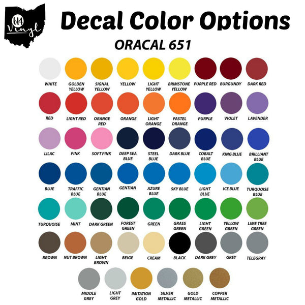 Custom Medical Alert Car Decal, medical alert, vinyl decal, diabetes, Epilepsy, special needs medical alert decal, vinyl car decal